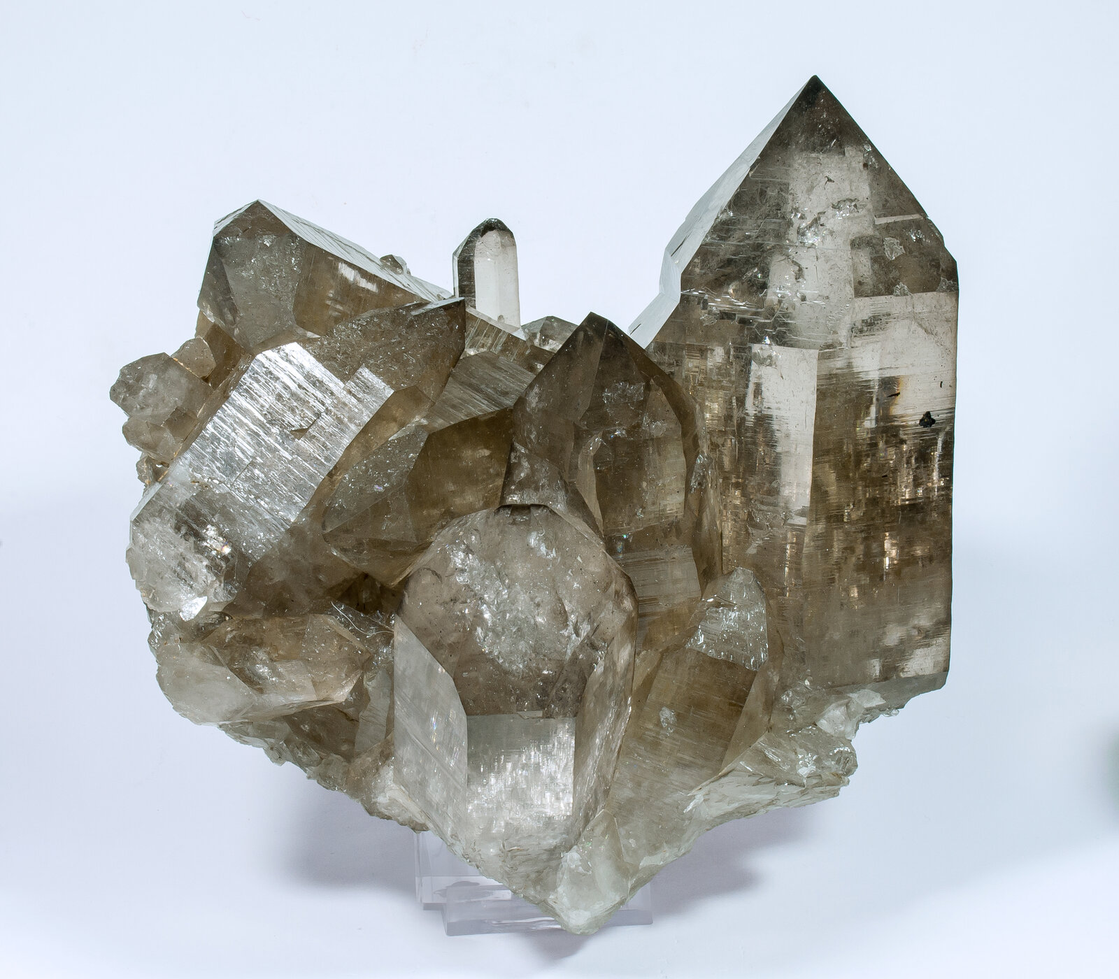 specimens/s_imagesAN0/Quartz_smoky-TF98AN0f.jpg