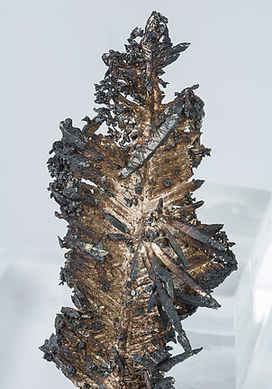 Silver with Acanthite. 