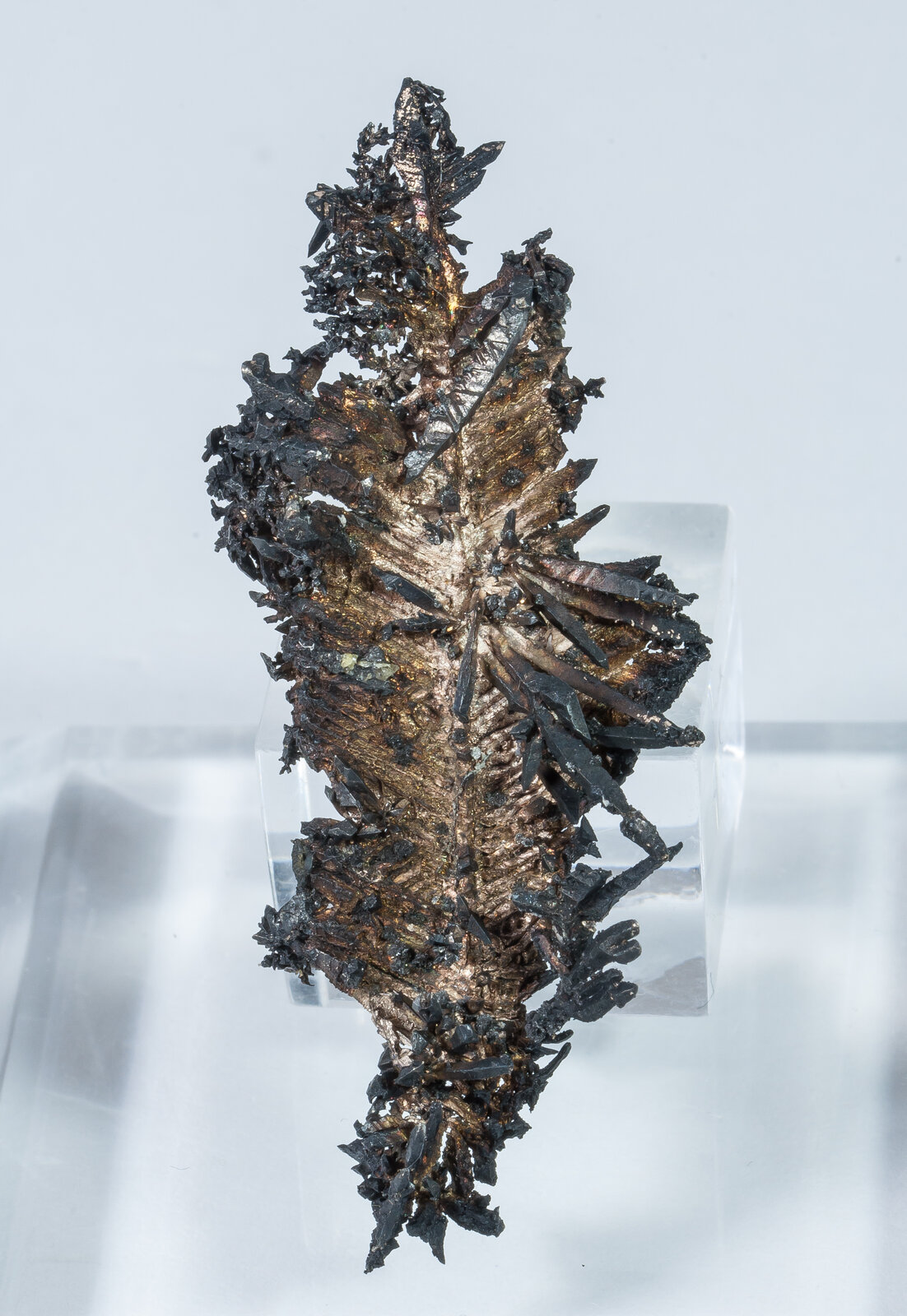 specimens/s_imagesAN0/Silver-NF89AN0f.jpg