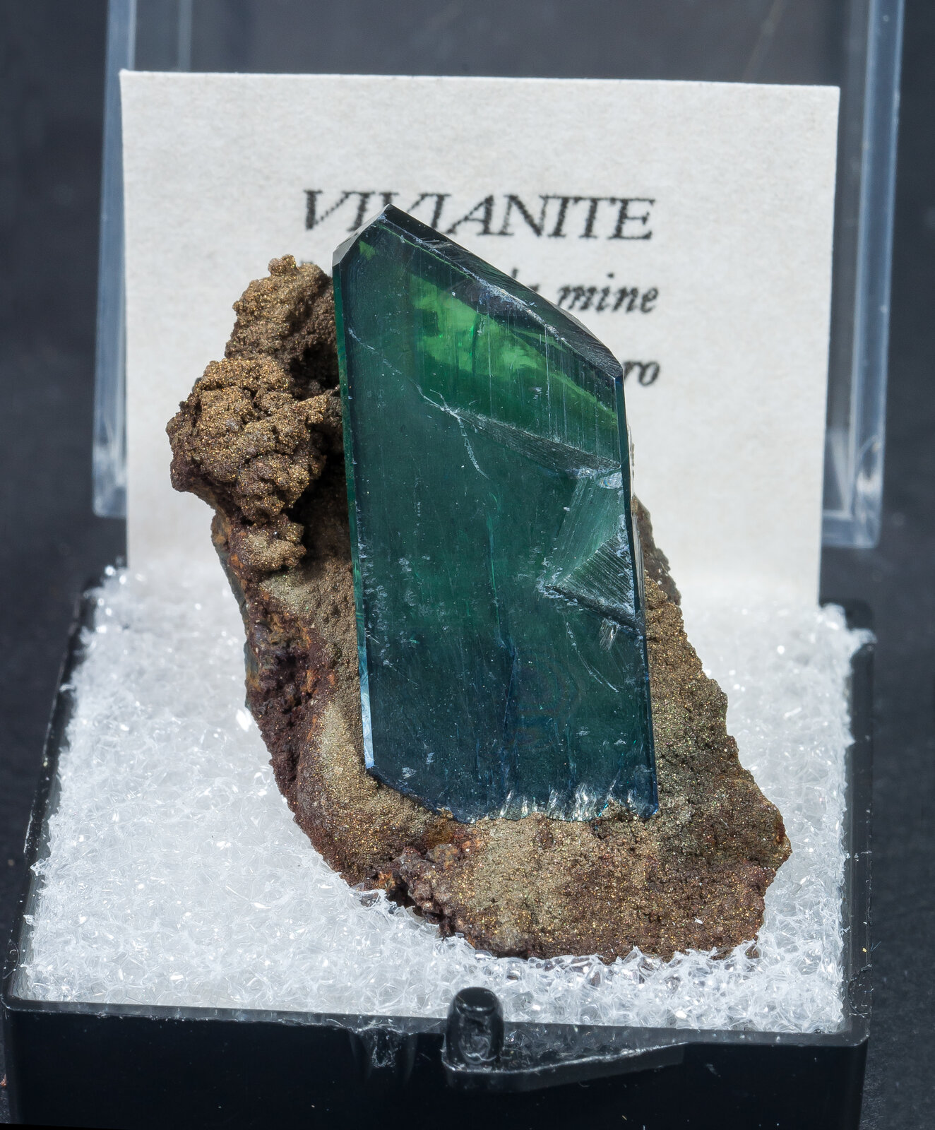 specimens/s_imagesAN0/Vivianite-MT14AN0f1.jpg