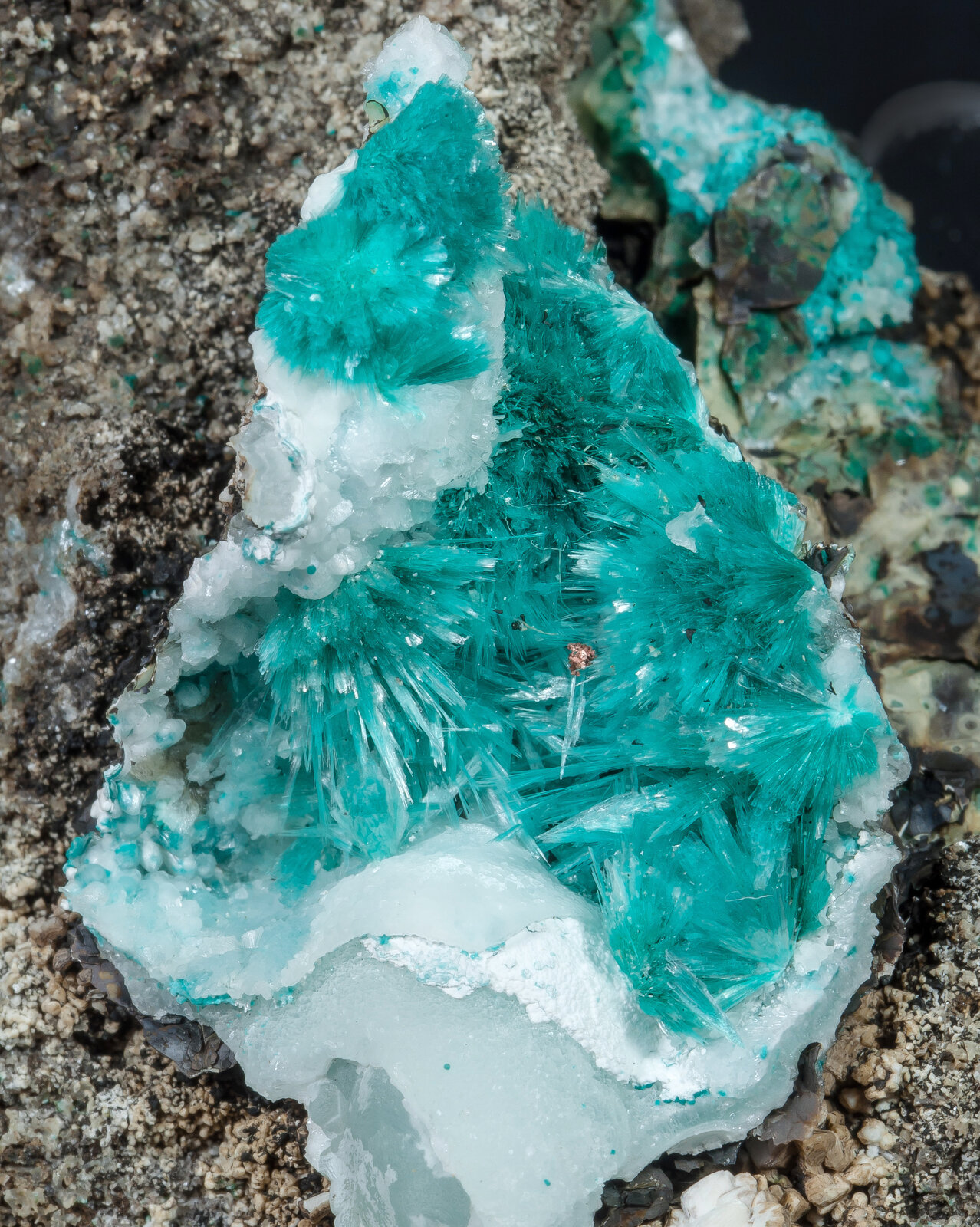 specimens/s_imagesAN1/Aurichalcite-TA37AN1d.jpg