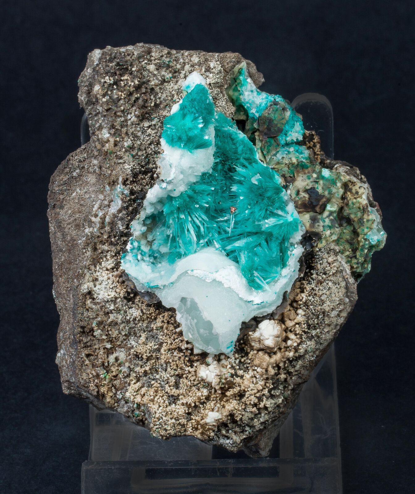 specimens/s_imagesAN1/Aurichalcite-TA37AN1f.jpg