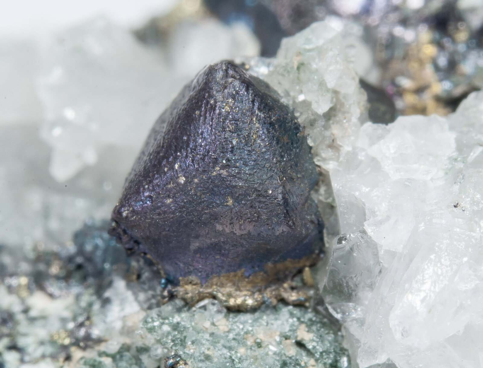 specimens/s_imagesAN1/Bornite-CR63AN1d.jpg