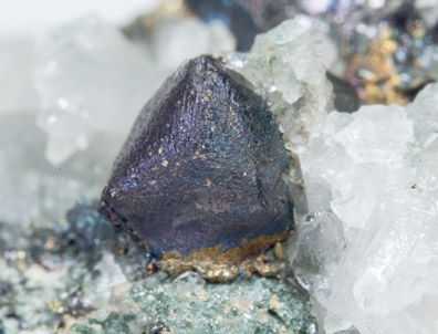 Bornite with Quartz. 