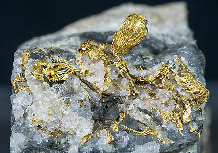 Gold with Quartz. 