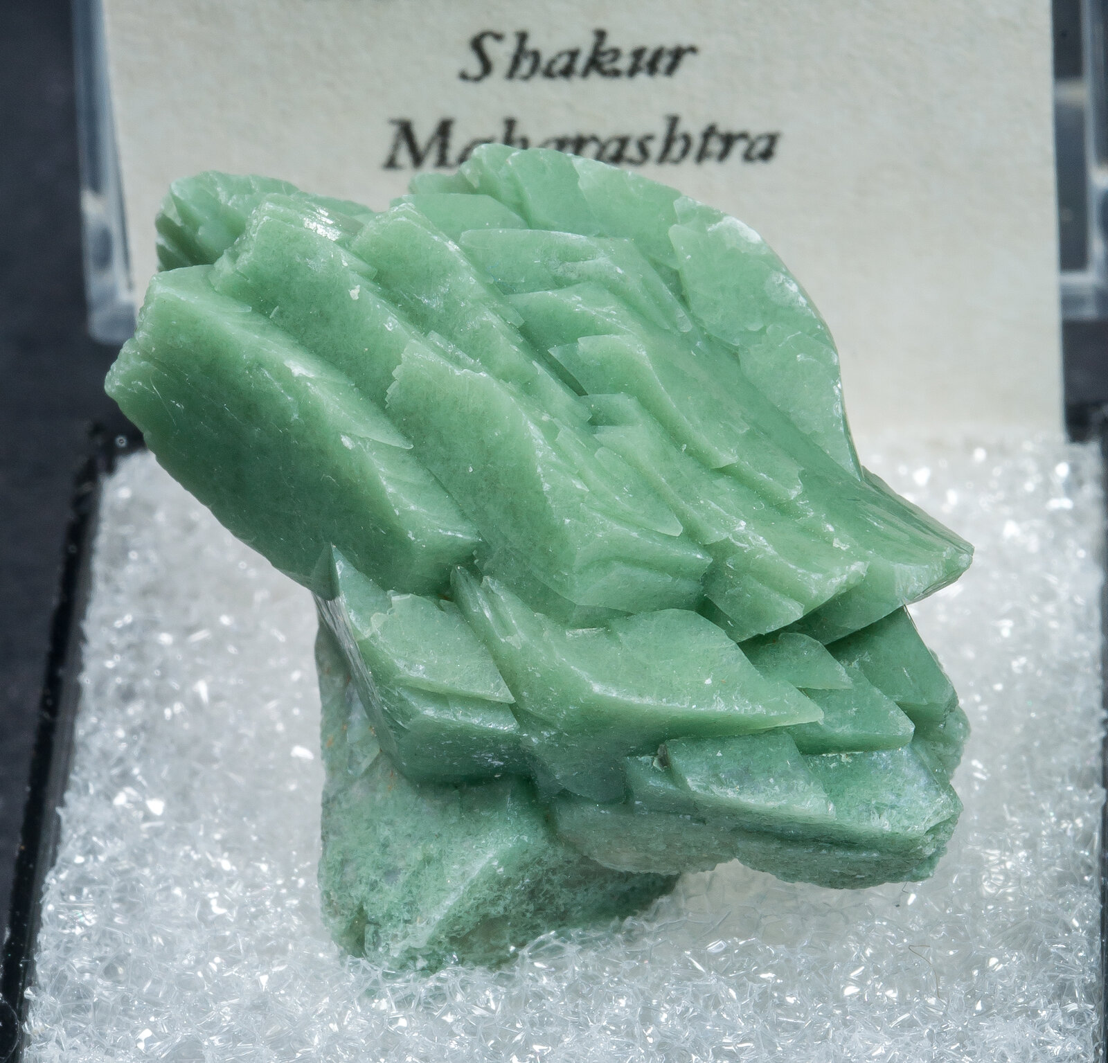 specimens/s_imagesAN1/Heulandite-TP14AN1f2.jpg