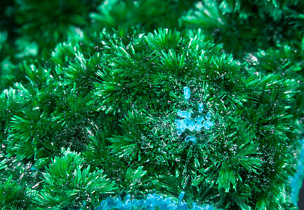 Malachite with Chrysocolla. 