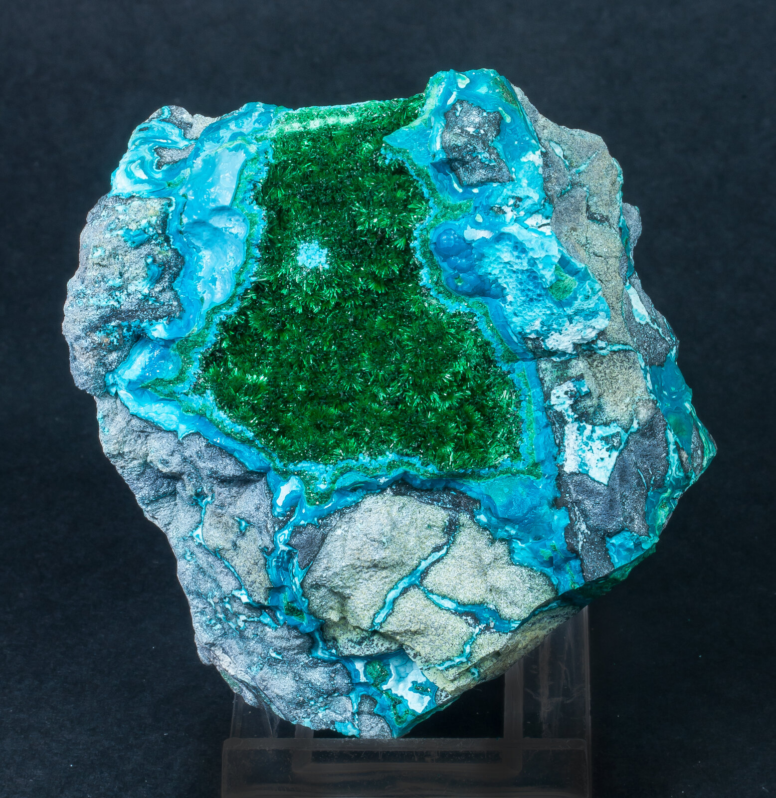 specimens/s_imagesAN1/Malachite-TQ46AN1f.jpg