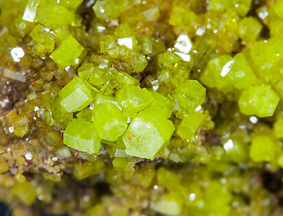 Pyromorphite. 