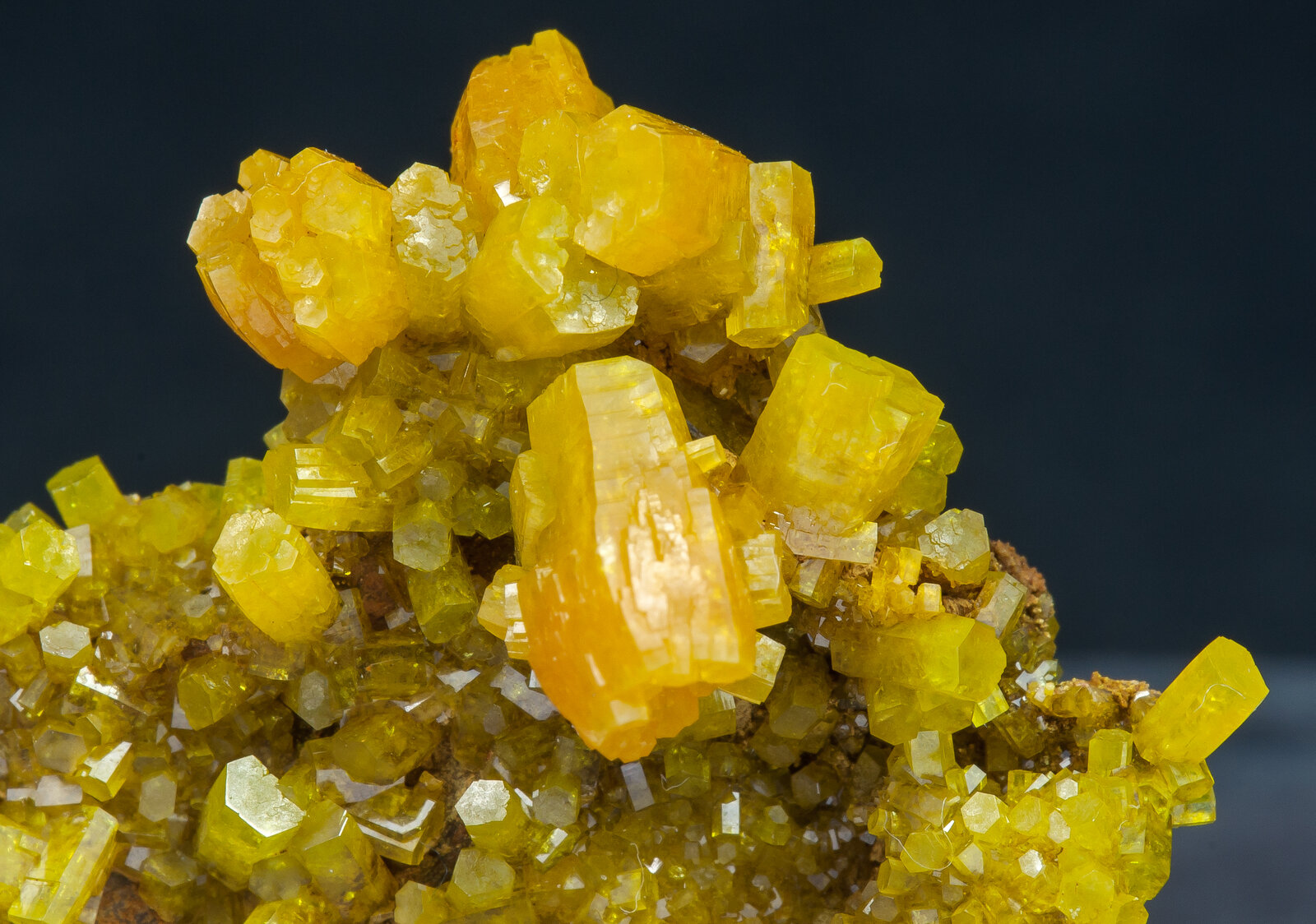 specimens/s_imagesAN1/Pyromorphite-TF14AN1d.jpg