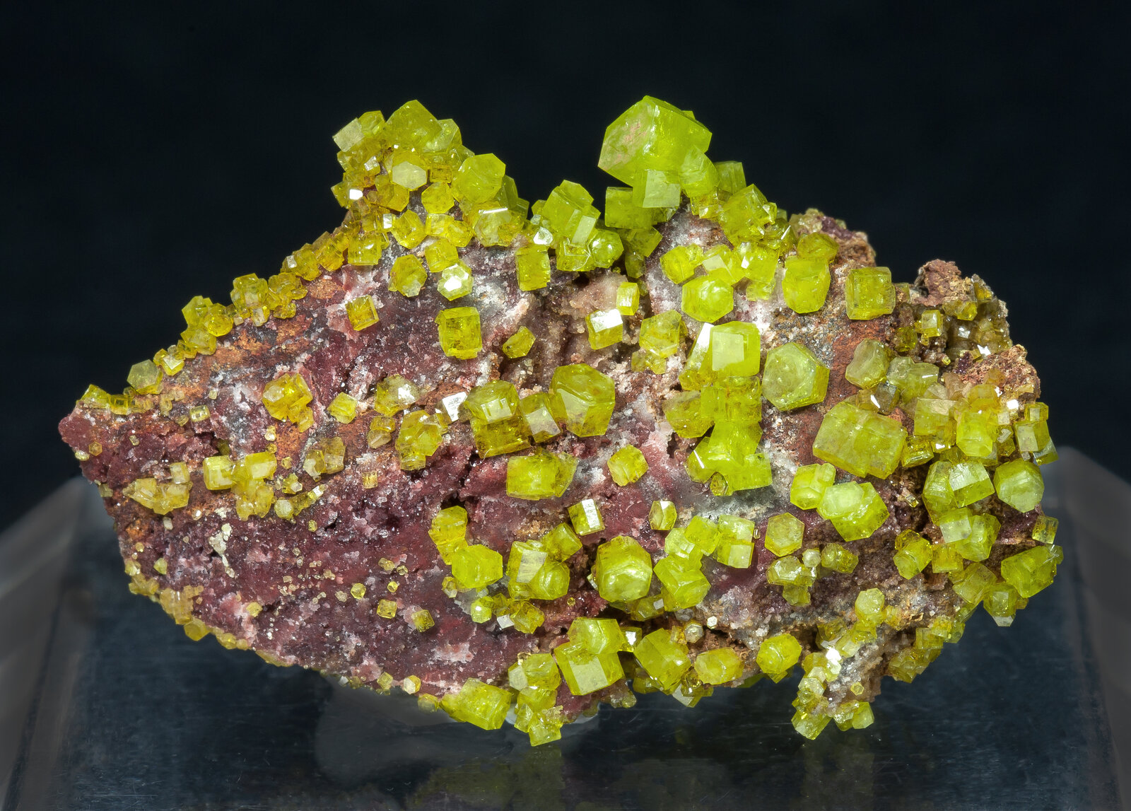 specimens/s_imagesAN1/Pyromorphite-TJ13AN1f.jpg