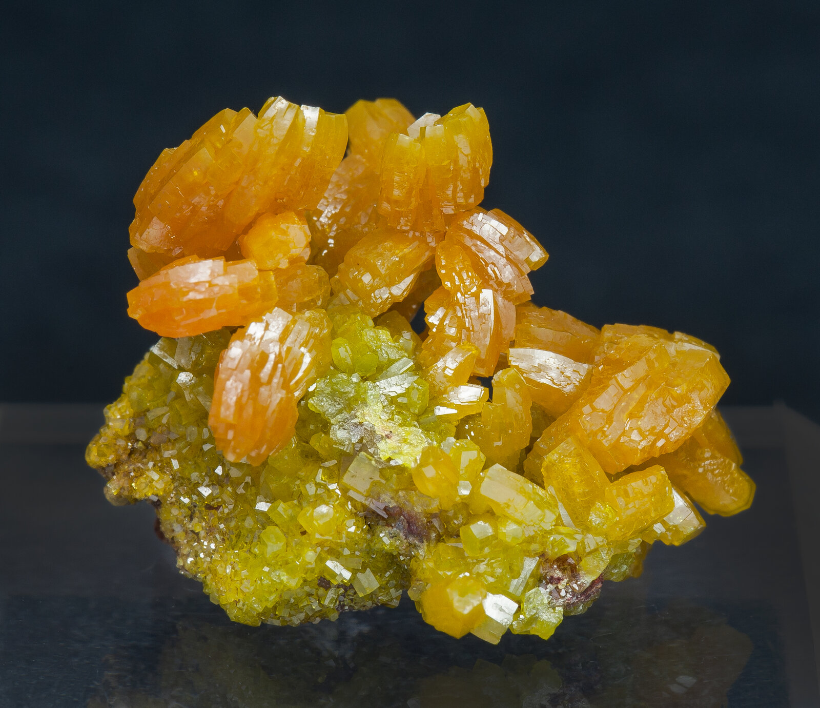 specimens/s_imagesAN1/Pyromorphite-TY14AN1r.jpg