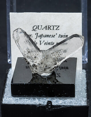 Quartz (japan law twin).