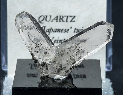 Quartz (japan law twin). 