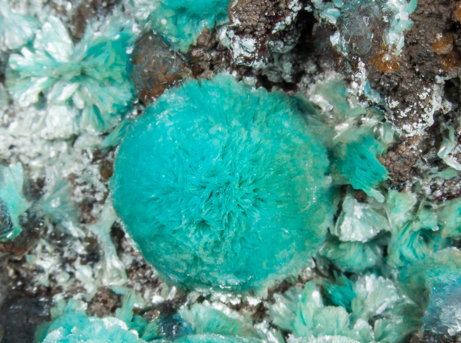 specimens/s_imagesAN1/Rosasite-TA48AN1d1.jpg