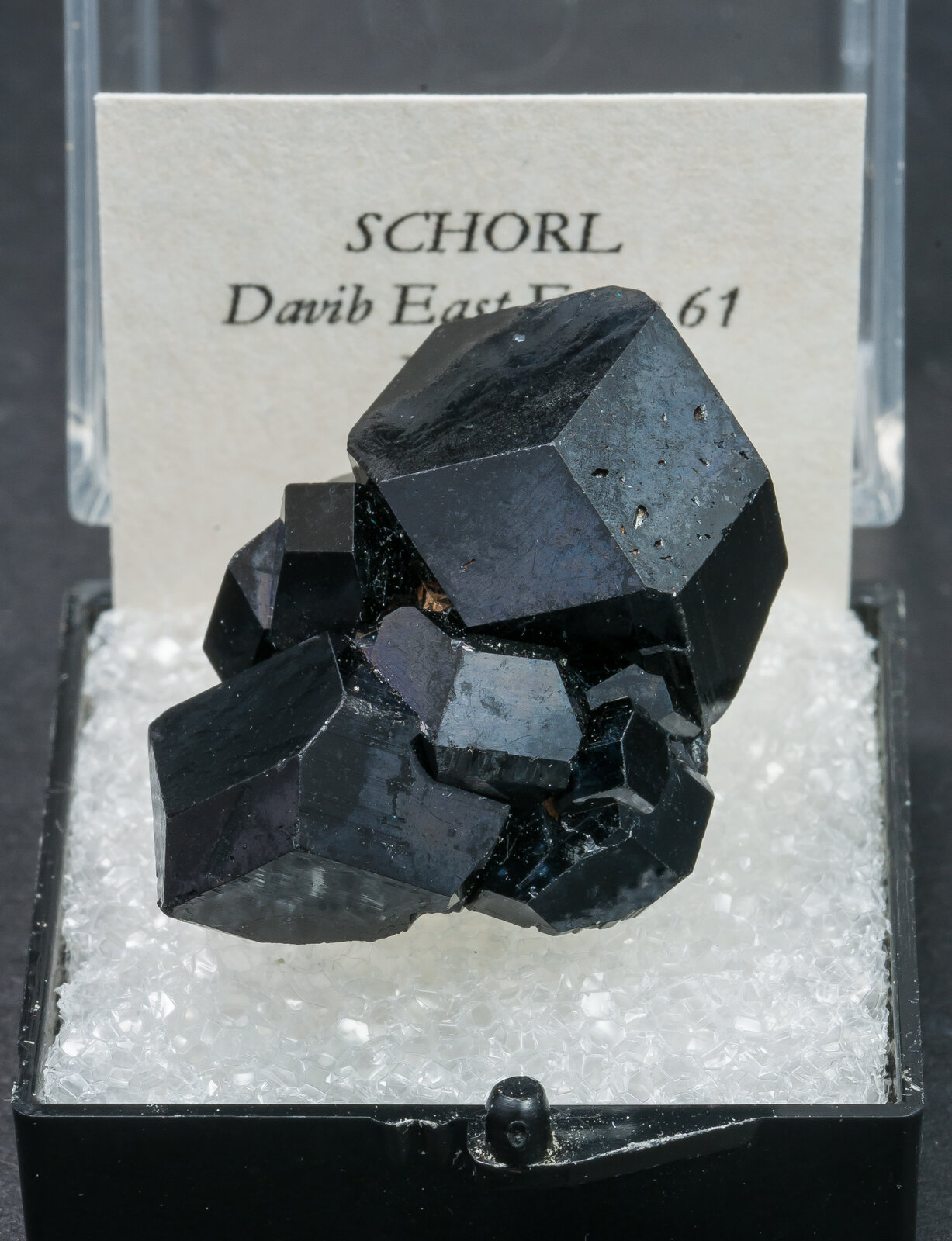 specimens/s_imagesAN1/Schorl-TD14AN1f1.jpg