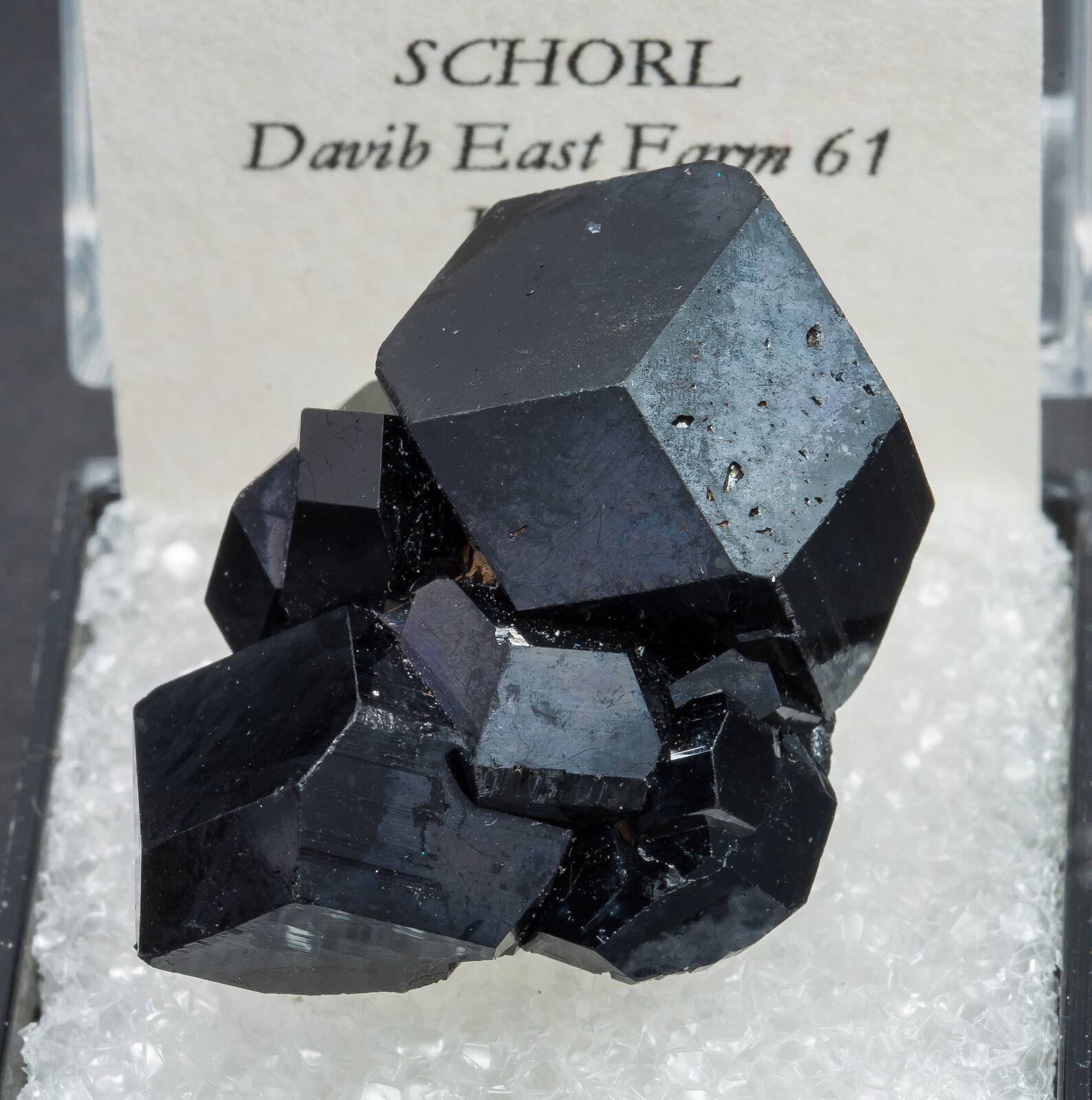 specimens/s_imagesAN1/Schorl-TD14AN1f2.jpg