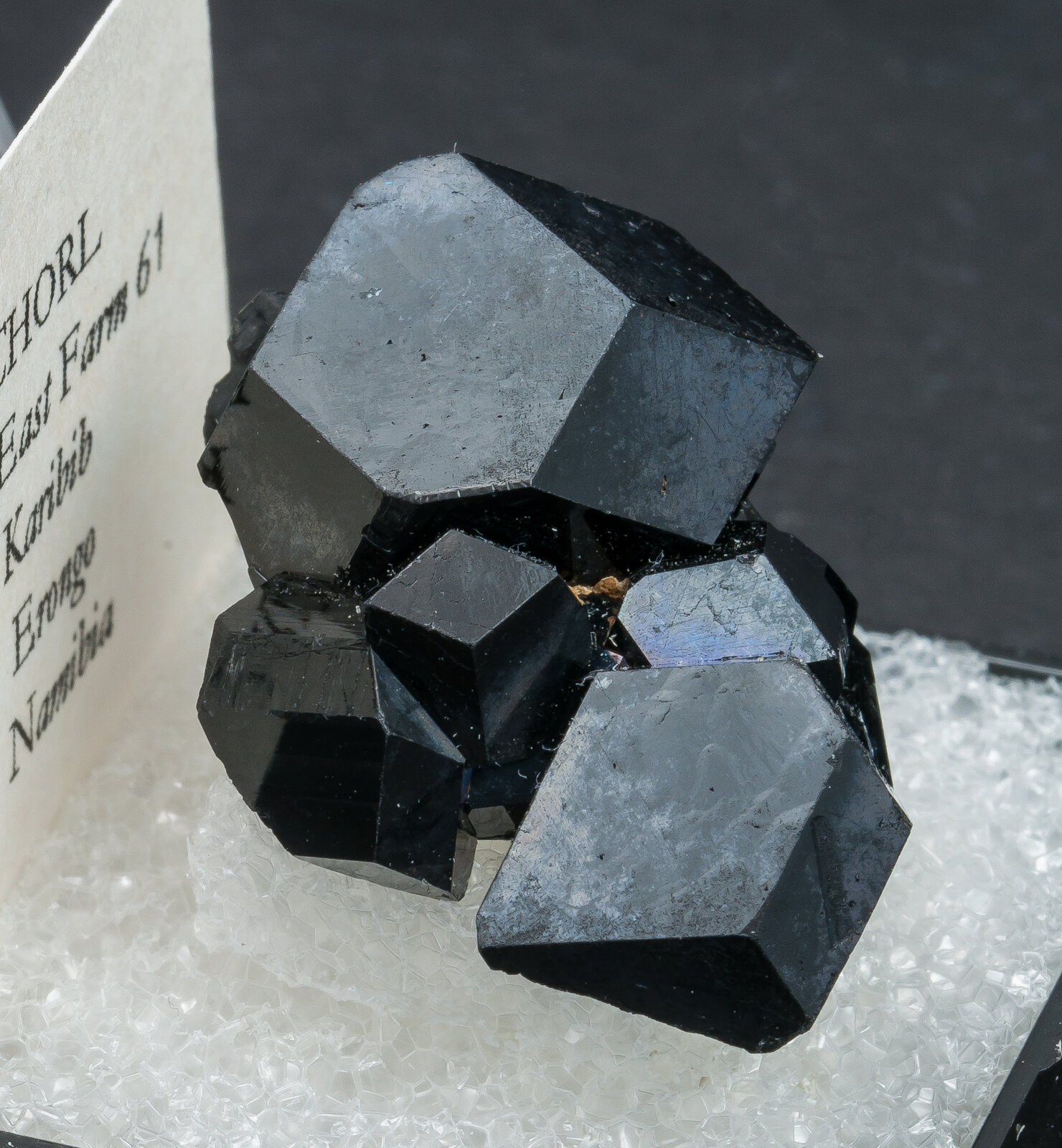 specimens/s_imagesAN1/Schorl-TD14AN1s.jpg