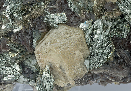 Arsenopyrite-Marcasite with Siderite and Muscovite. 