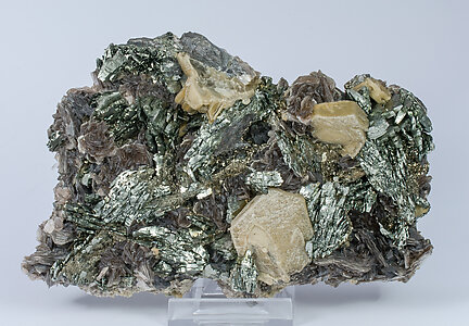 Arsenopyrite-Marcasite with Siderite and Muscovite. 