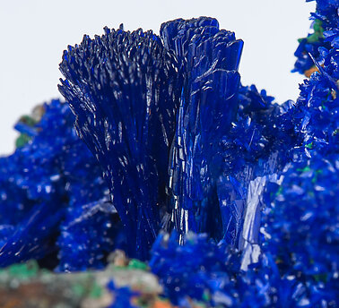 Azurite with Quartz. 