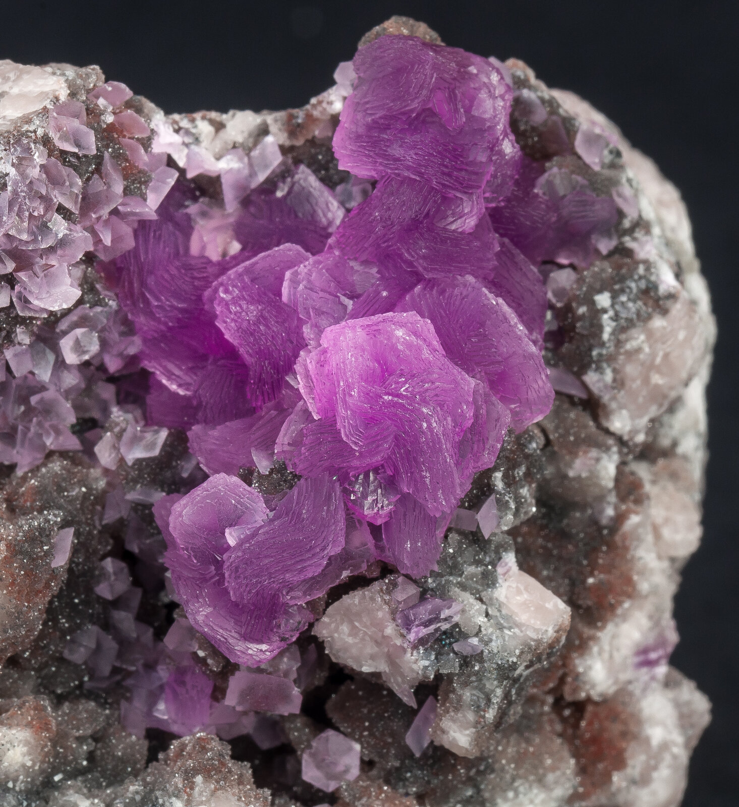 specimens/s_imagesAN2/Calcite_cobaltoan-TA67AN2d.jpg