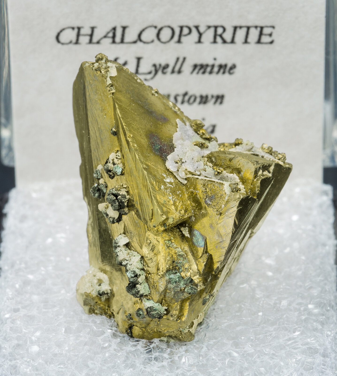 specimens/s_imagesAN2/Chalcopyrite-TE46AN2f2.jpg