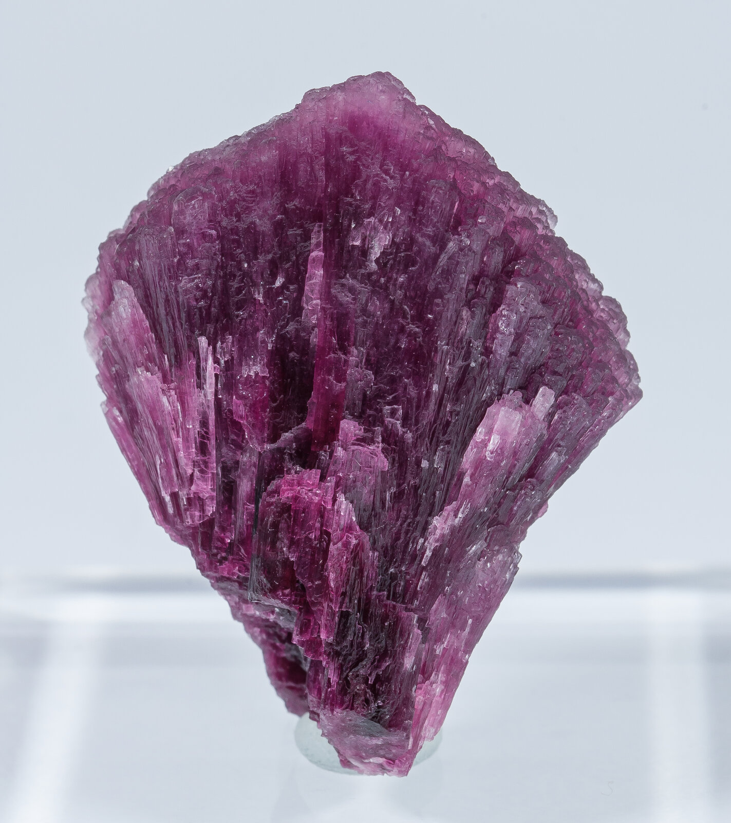 specimens/s_imagesAN2/Elbaite-TA98AN2r.jpg