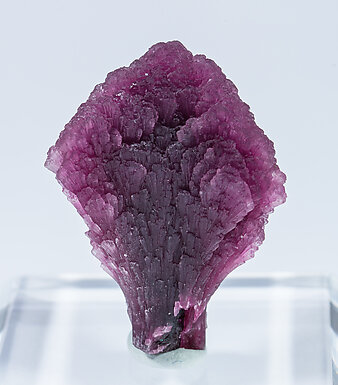 Elbaite-Schorl Series (variety 'mushroom').