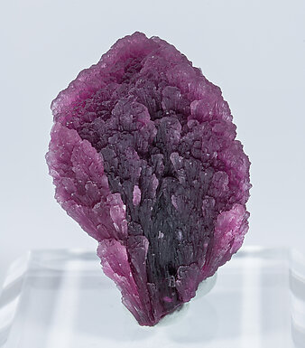 Elbaite-Schorl Series (variety 'mushroom').