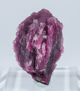 Elbaite-Schorl Series (variety 'mushroom'). Rear