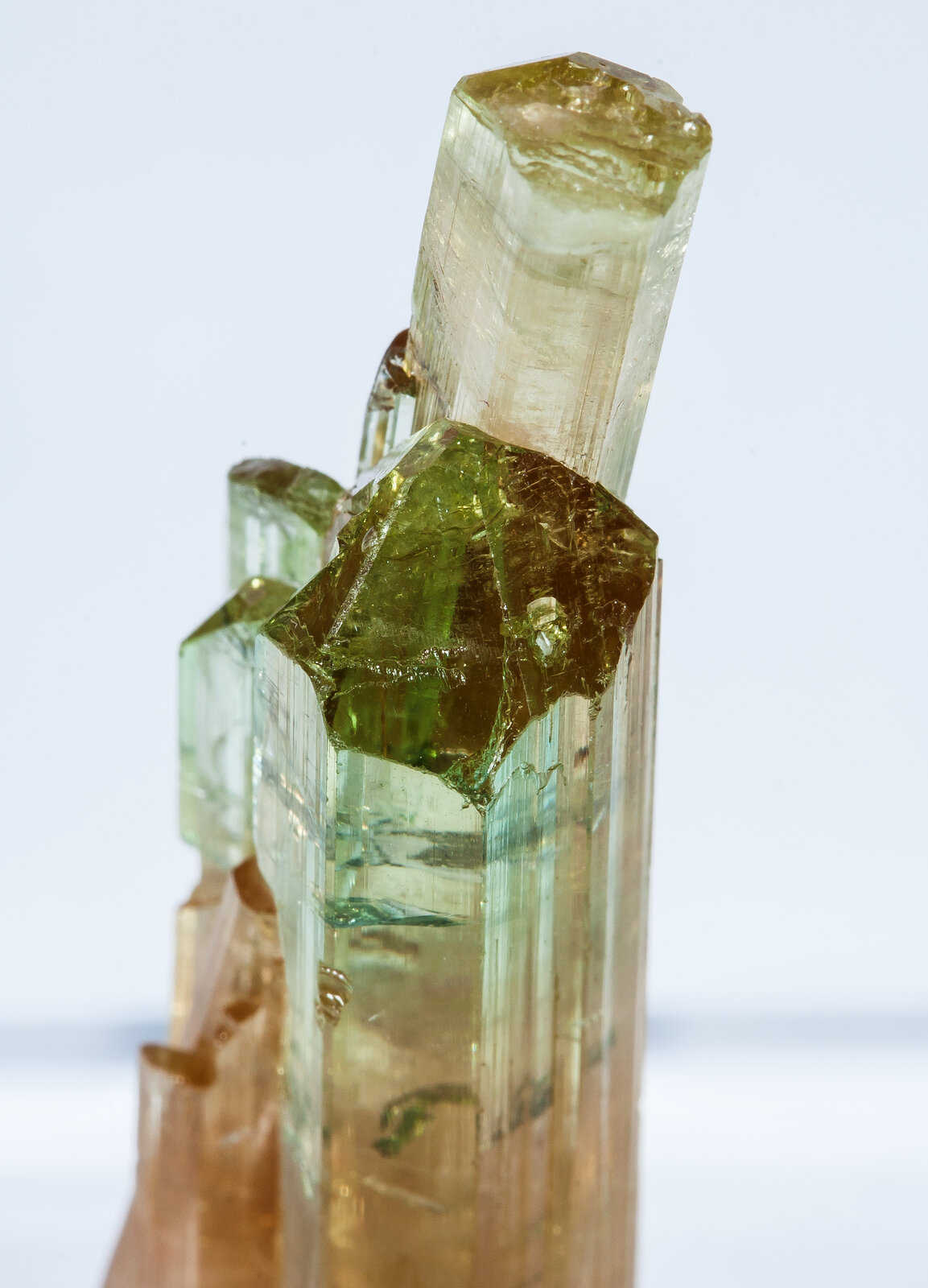 specimens/s_imagesAN2/Elbaite-TF46AN2d.jpg