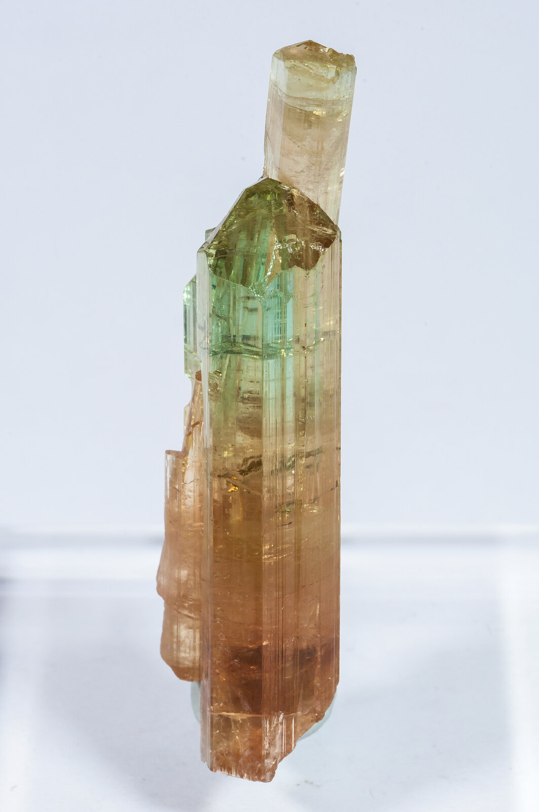 specimens/s_imagesAN2/Elbaite-TF46AN2f.jpg