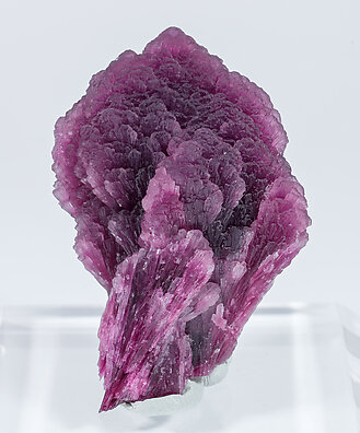 Elbaite-Schorl Series (variety 'mushroom').