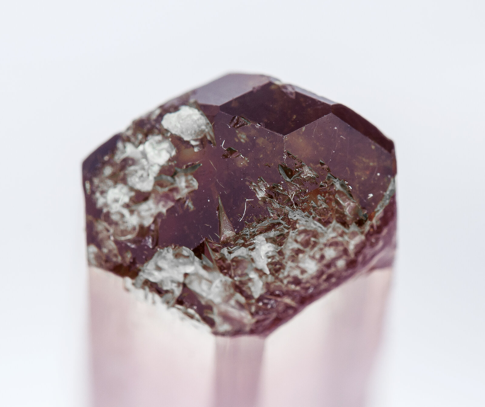 specimens/s_imagesAN2/Elbaite-TF96AN2t.jpg