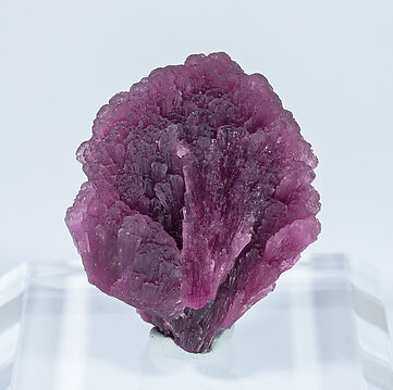 Elbaite-Schorl Series (variety 'mushroom').