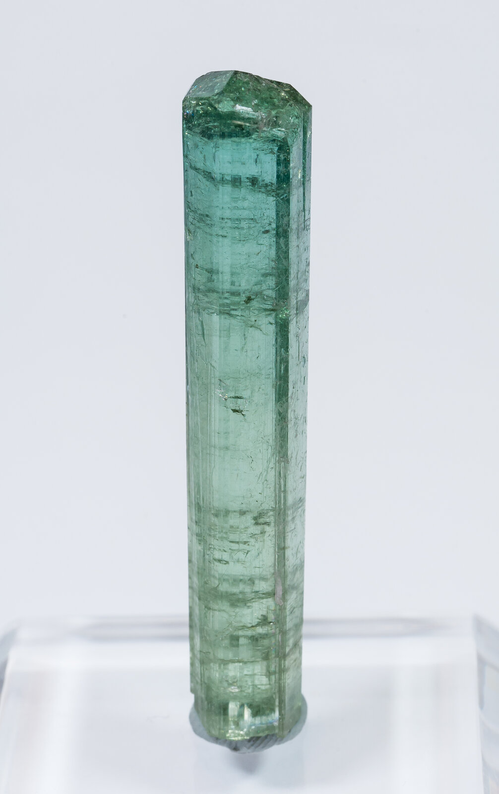 specimens/s_imagesAN2/Elbaite-TG46AN2r.jpg