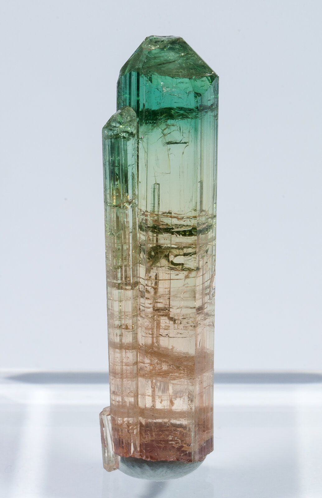 specimens/s_imagesAN2/Elbaite-TG66AN2f.jpg