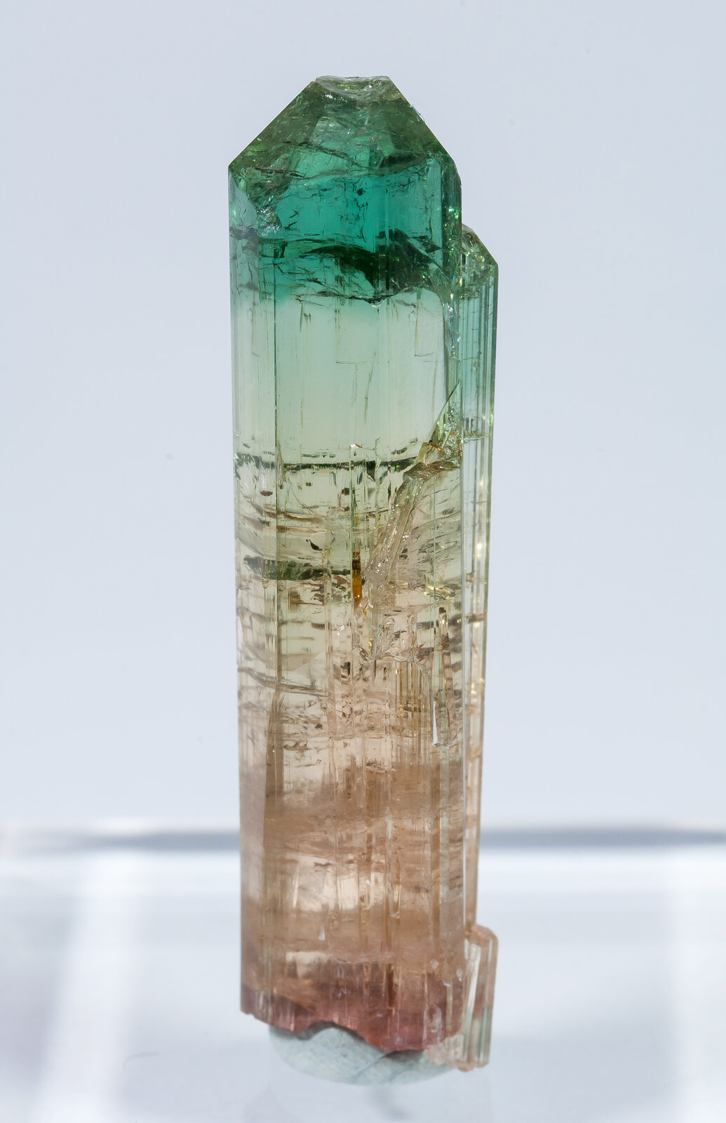 specimens/s_imagesAN2/Elbaite-TG66AN2r.jpg