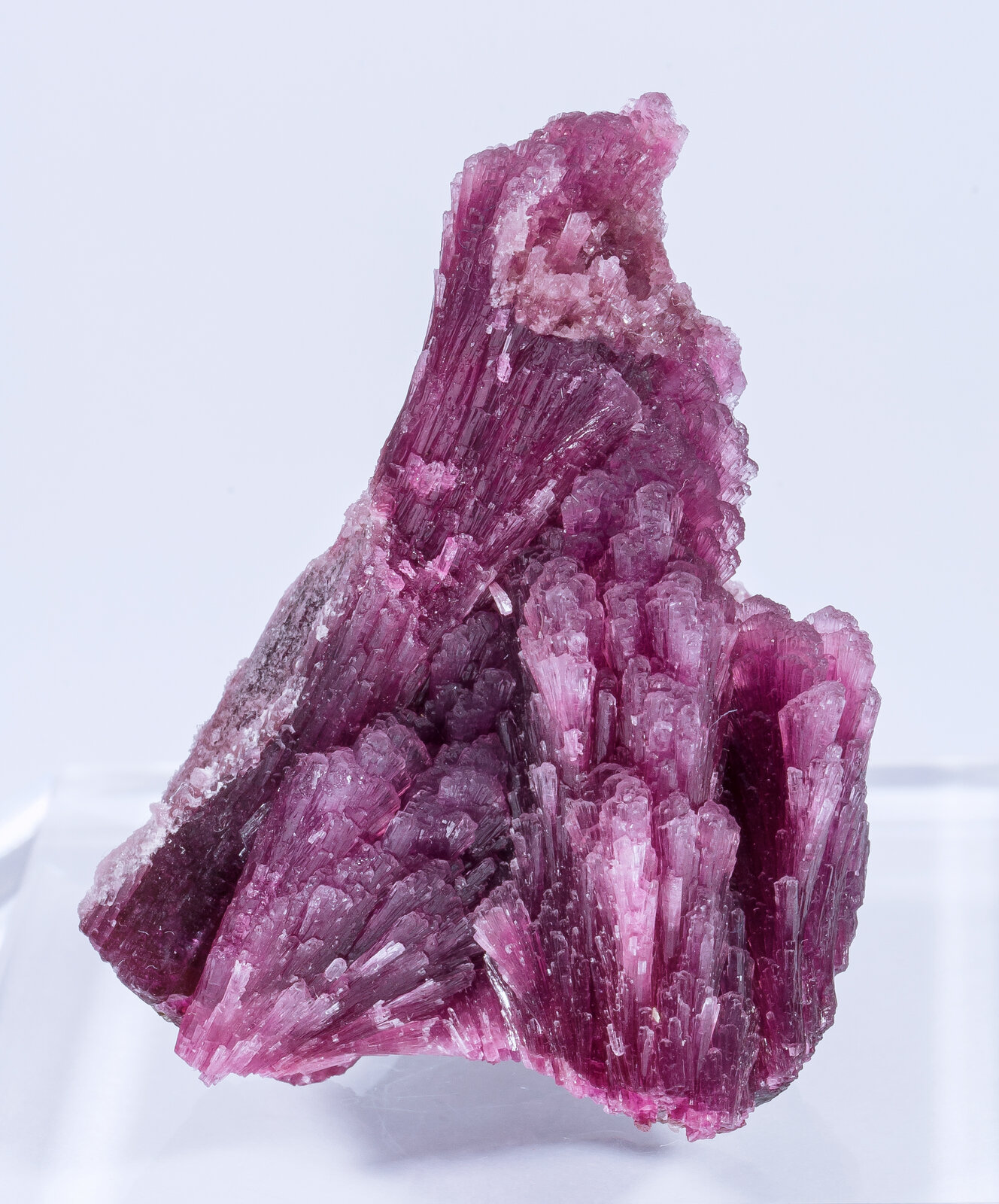 specimens/s_imagesAN2/Elbaite-TH47AN2f.jpg