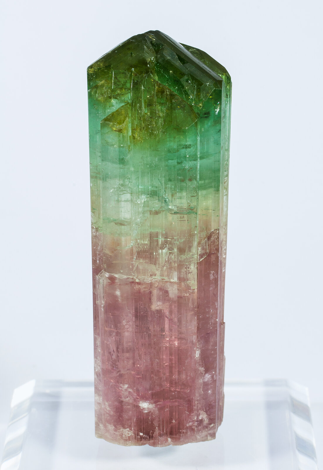 specimens/s_imagesAN2/Elbaite-TH69AN2f.jpg