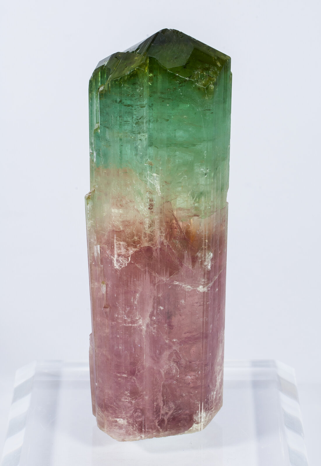 specimens/s_imagesAN2/Elbaite-TH69AN2r.jpg