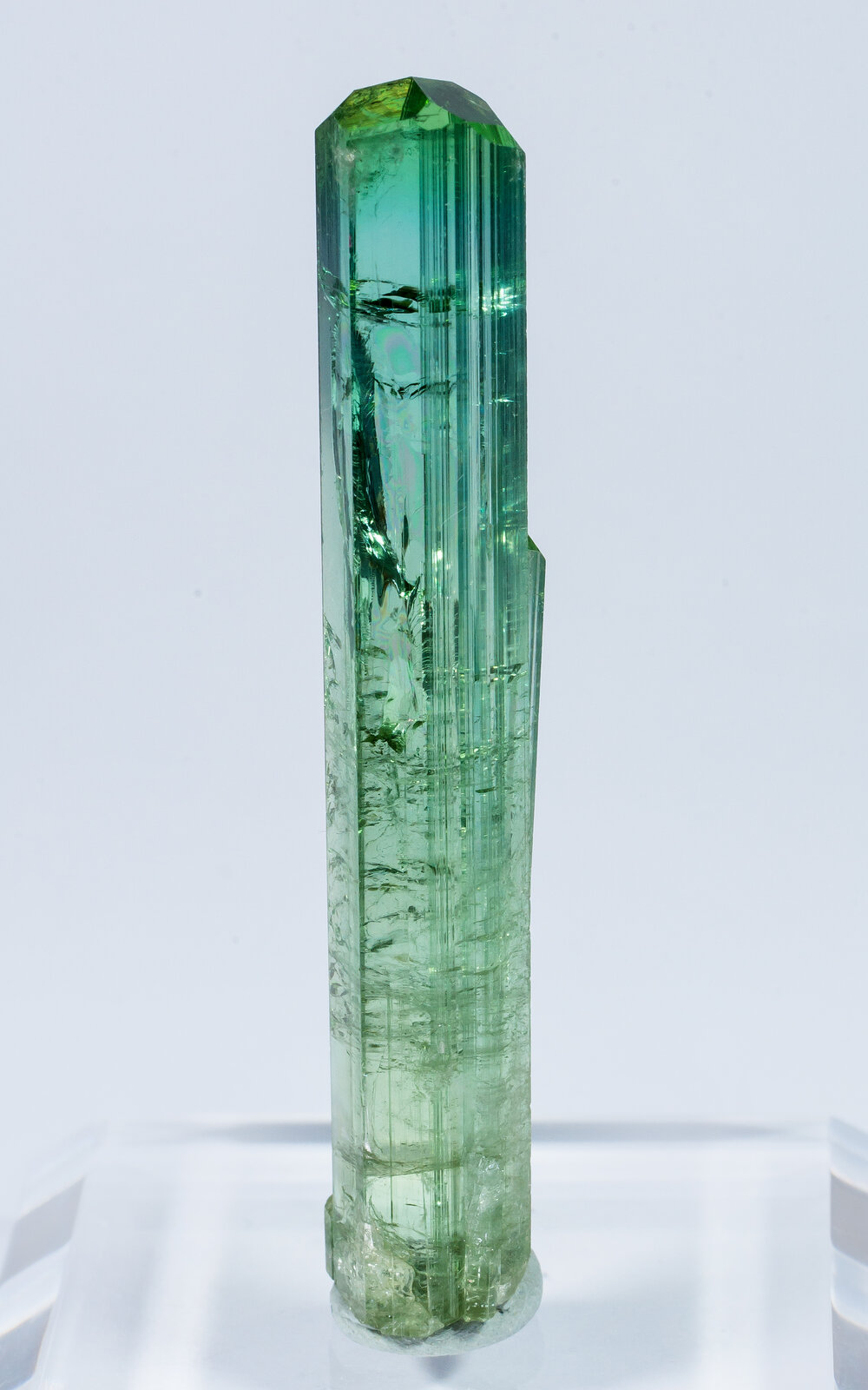 specimens/s_imagesAN2/Elbaite-TH86AN2f.jpg