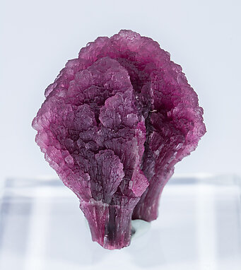 Elbaite-Schorl Series (variety 'mushroom').