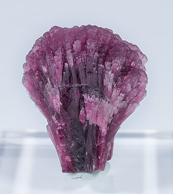 Elbaite-Schorl Series (variety 'mushroom'). Rear