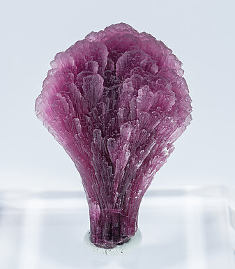 Elbaite-Schorl Series (variety 'mushroom'). Front