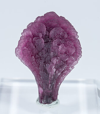 Elbaite-Schorl Series (variety 'mushroom'). Front