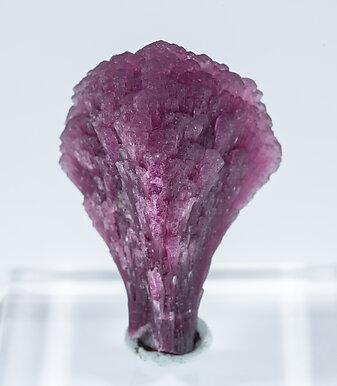 Elbaite-Schorl Series (variety 'mushroom'). Rear