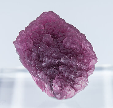 Elbaite-Schorl Series (variety mushroom). Front