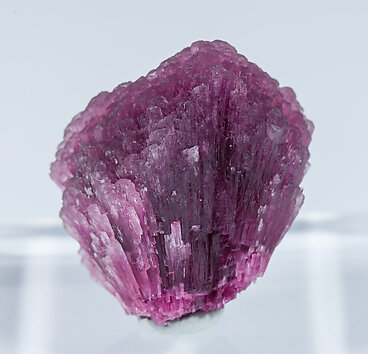 Elbaite-Schorl Series (variety mushroom). Rear